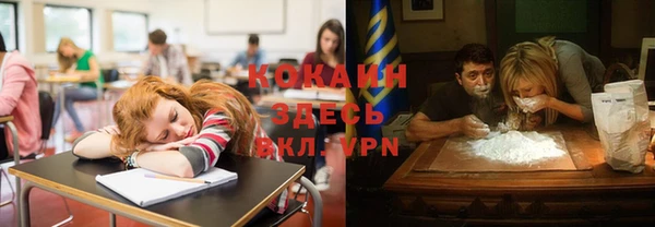 spice Алексин